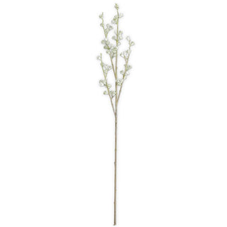 35" Powdered Green Eucalyptus Pod Stem