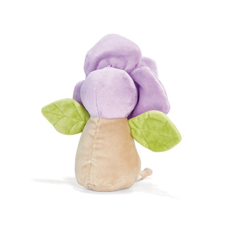 Sweet Sweet Pea Flower