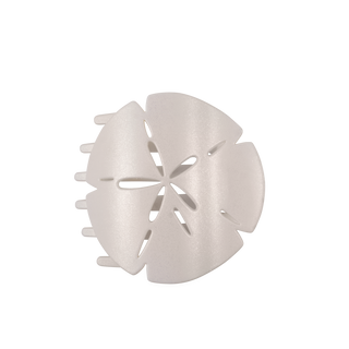 Sand Dollar Large Flat Shape Hair Clip