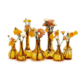 Amber Decorative Bottles / Vases