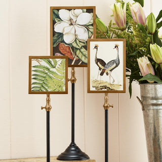 Double Sided Photo Frames on Telescoping Pole