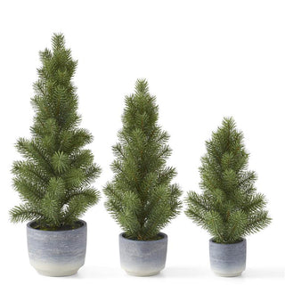 Pine Tree in Gray Pot