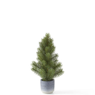Pine Tree in Gray Pot