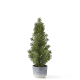 Pine Tree in Gray Pot