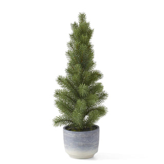 Pine Tree in Gray Pot