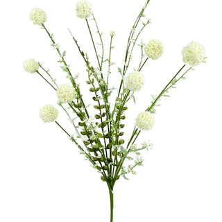 WILD ALLIUM BUSH