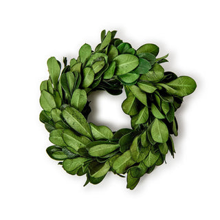 Set of 4 Preserved Boxwood Wreath Napkin Rings