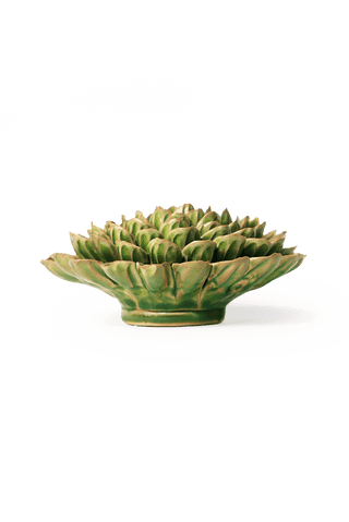 Avocado Green Unicorn Zinnia - Flower Art, Boho Wall Decor
