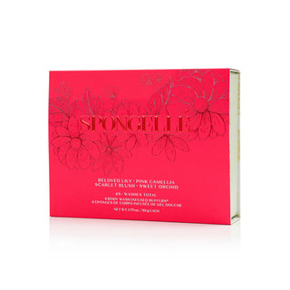 Valentine's Day Heart Buffer Gift Set
