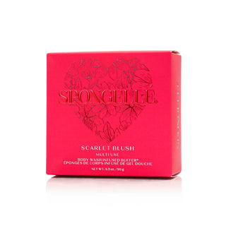 Valentine's Day Heart Buffer Assorted Pack