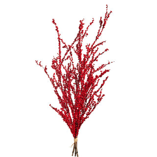 39" Berry