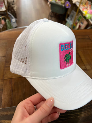 Delta Zeta Hat