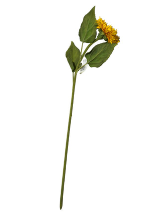 24" Brazilian Sunflower