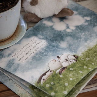 Who Will Our New Baby Be? - Board Book