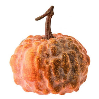 Latex Hybrid Pumpkin