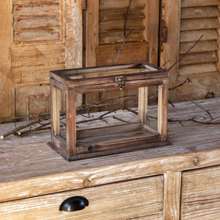 Collector's Display Box