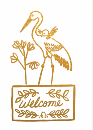 Enclosure Cards - Welcome Stork