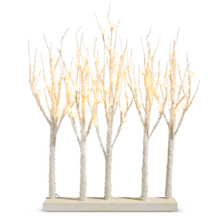 Lighted White Iced Grove