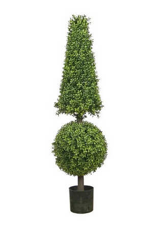 BOXWOOD BALL CONE TREE TOP 50''