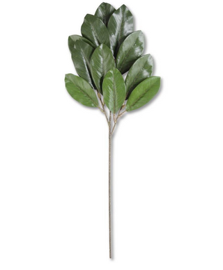 33 Inch Green Magnolia Spray