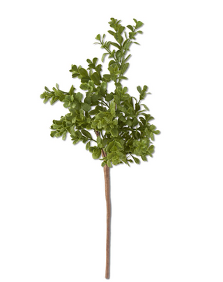 18 Inch Real Touch Boxwood Pick