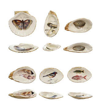 Decorative Seashell