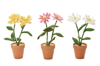 Blooming Beauties Hand-Crafted Potted Daisy