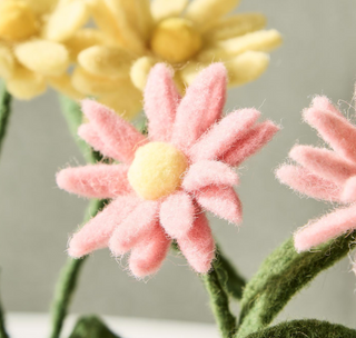 Blooming Beauties Hand-Crafted Potted Daisy