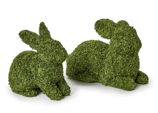 Preserved Natural Buckwheat Husk Bunnies
