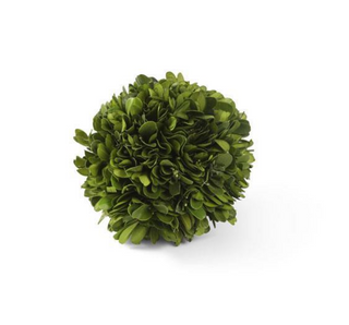 4 Inch Preserved Boxwood Mini Ball