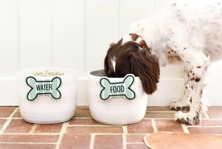 White Stripe Mini Happy Everything! Bowl