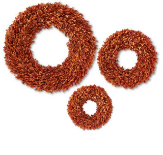 Orange Preserved Boxwood Wreaths