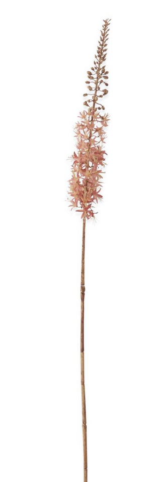 42.5 Inch Peach Fox Tail Lily Stem