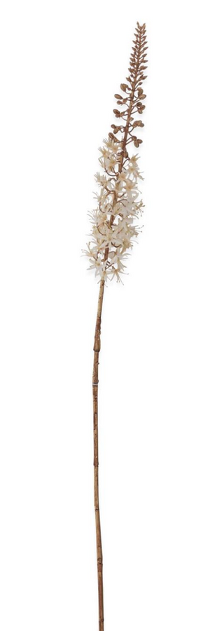 42.5 Inch Cream Fox Tail Lily Stem