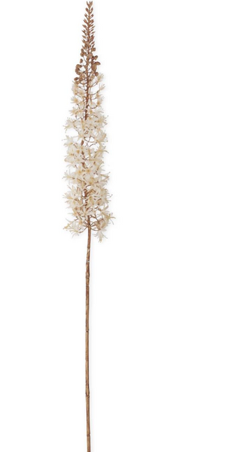 46 Inch Cream Fox Tail Lily Stem