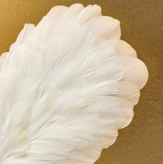 Butterfly Shadow Box Wall Art