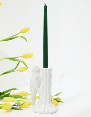 Tapered Candle Holder, Resort White (Parrot)