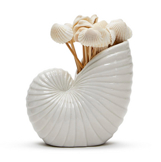 Nautilus Shell with 20 Seashell Picks