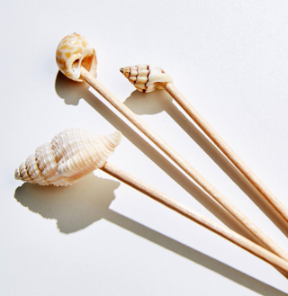 Sea Fare Shell Hors D'oeuvre Long Picks