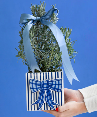 Blue Gingham Bow Mini Attachment