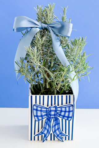 Blue Gingham Bow Mini Attachment