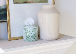 The Jade Tissue Vessel