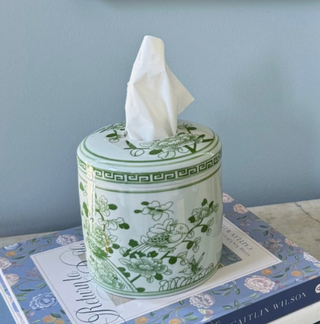 The Jade Tissue Vessel