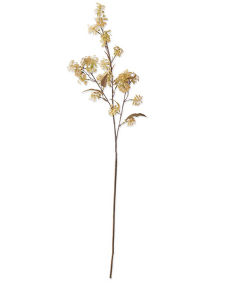 35 Inch Yellow Elderberry Stem