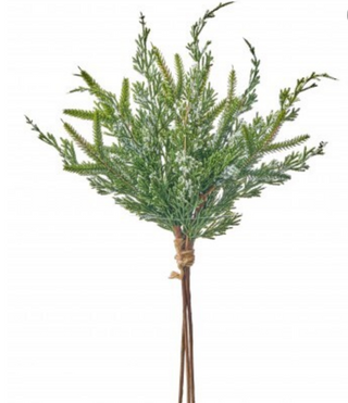 18" Mini Fir/Cedar Evergreen Bundle w/ Ice