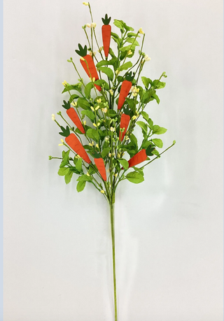 CARROT SPRAY