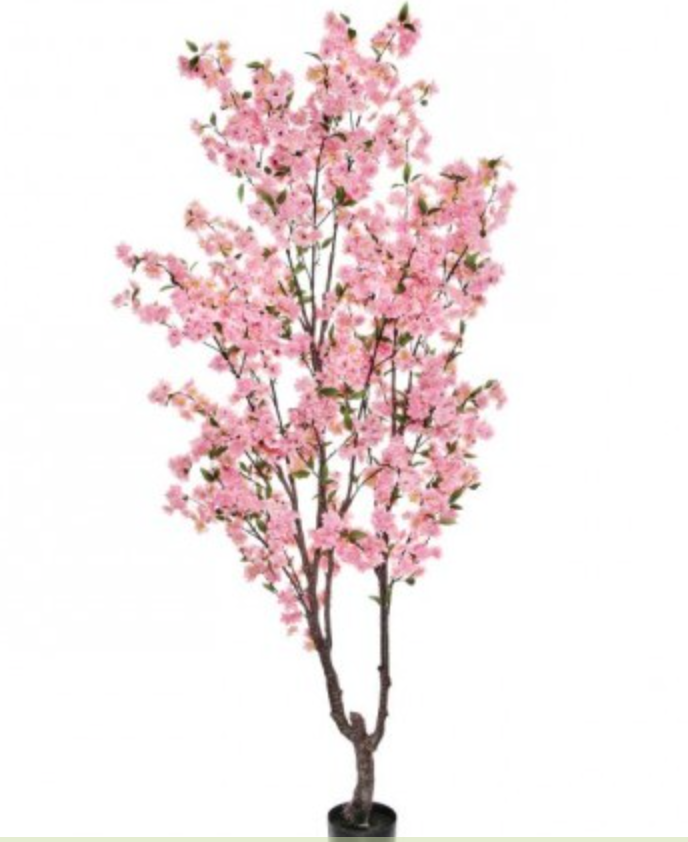 Cherry Blossom Tree 6.5'