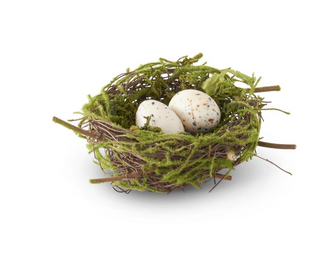 5.5 INCH BIRD NEST W/2 EGGS