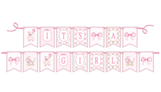 PINK GINGHAM IT'S A GIRL PARTY BANNER