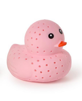 Duckie Water Toy